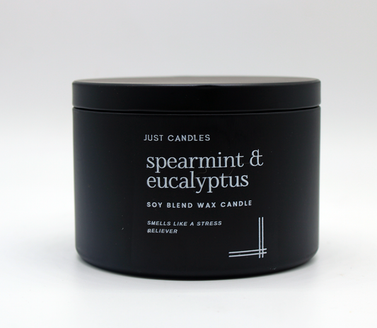Spearmint & Eucalyptus  Candle 2 Wick
